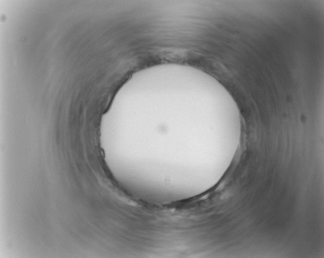 X0000054401345200508262221