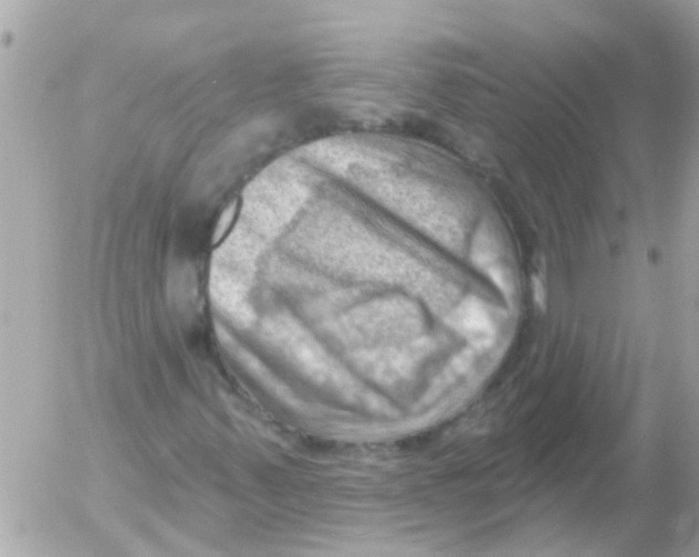 X0000054401347200508262220