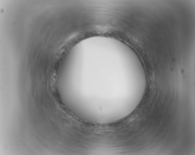 X0000054401349200508262220