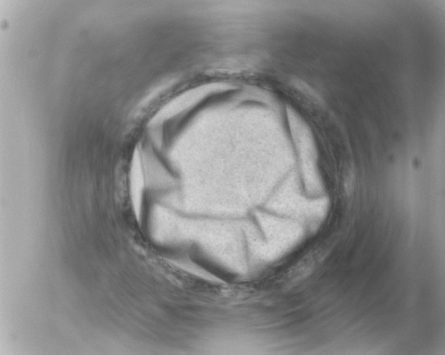 X0000054401350200508262220