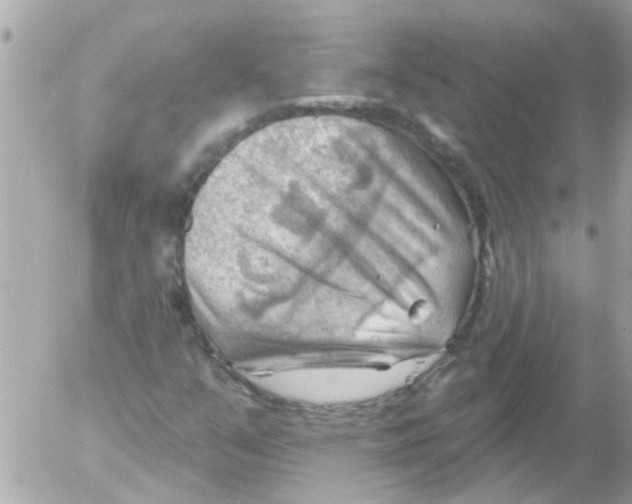 X0000054401351200508262220