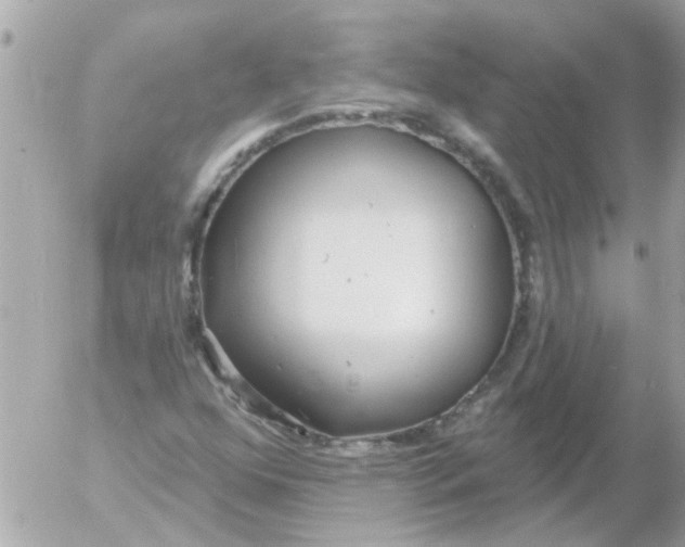 X0000054401352200508262220