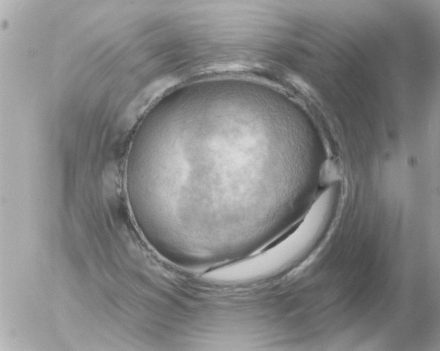 X0000054401353200508262220