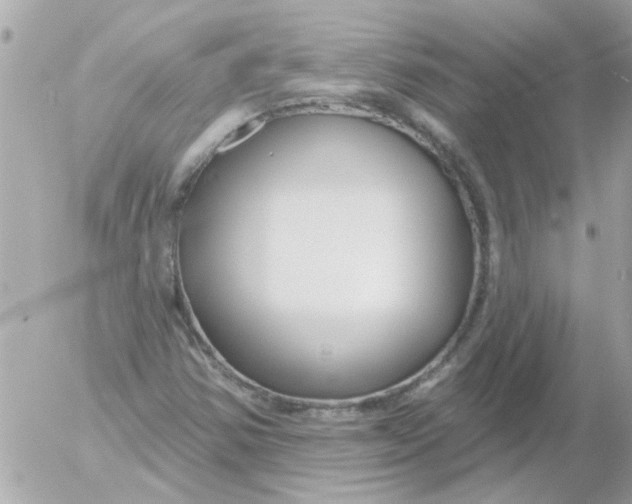 X0000054401354200508262220