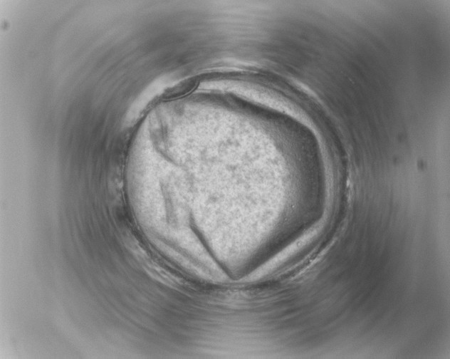 X0000054401355200508262220