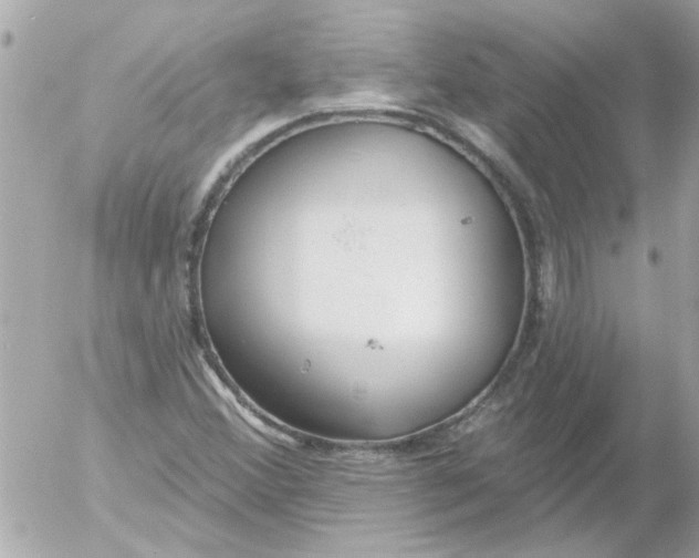 X0000054401356200508262220