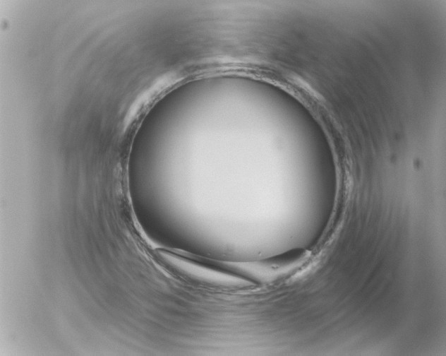 X0000054401357200508262220