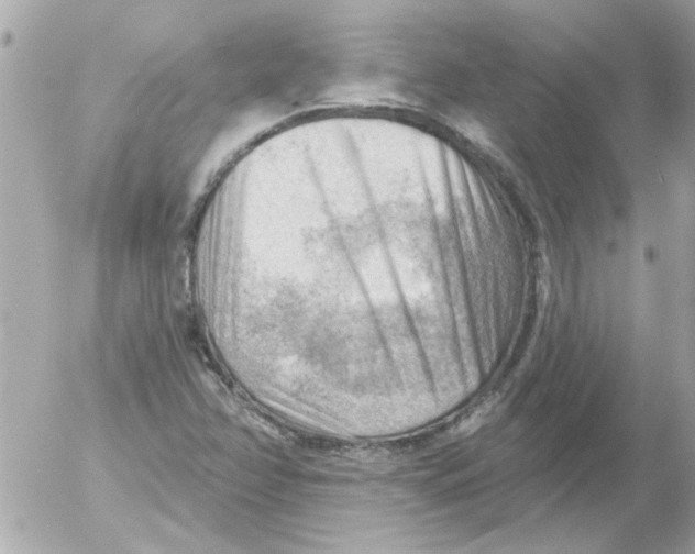 X0000054401358200508262220