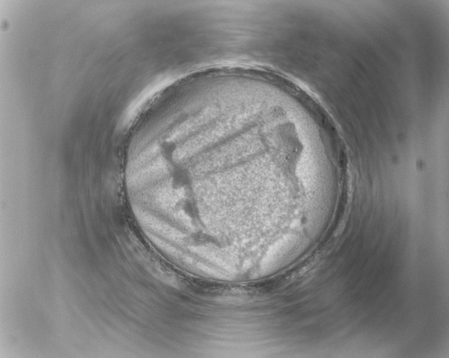 X0000054401359200508262220