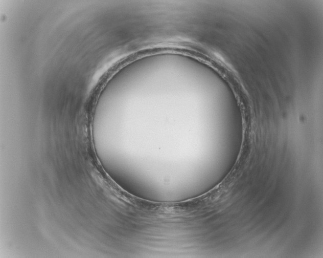 X0000054401360200508262220