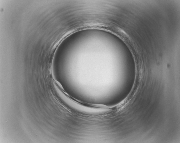 X0000054401361200508262220