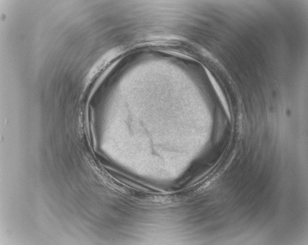 X0000054401362200508262220