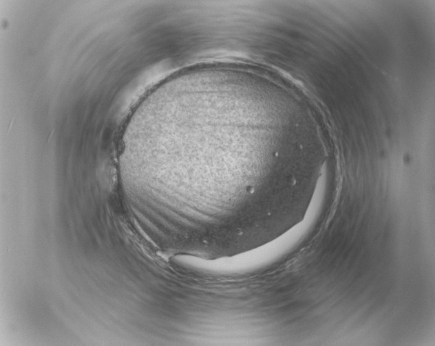 X0000054401363200508262220