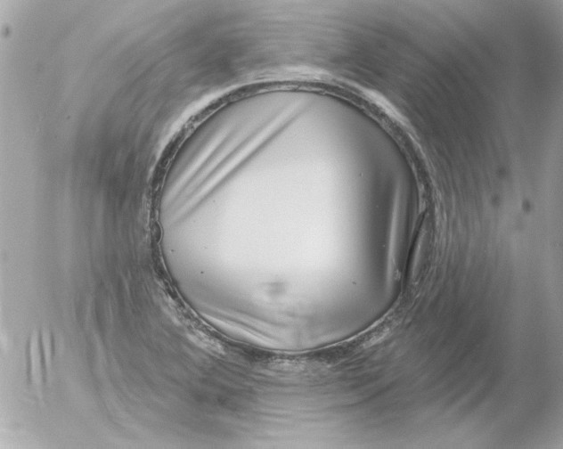 X0000054401364200508262220