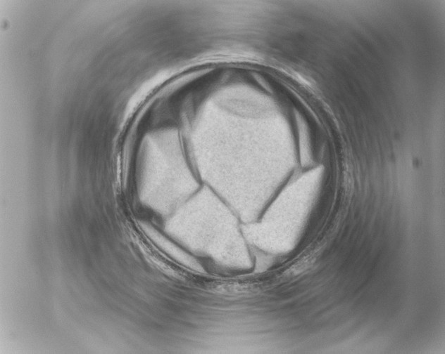 X0000054401366200508262220