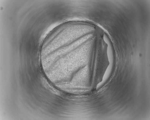 X0000054401367200508262220