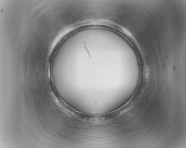 X0000054401368200508262220