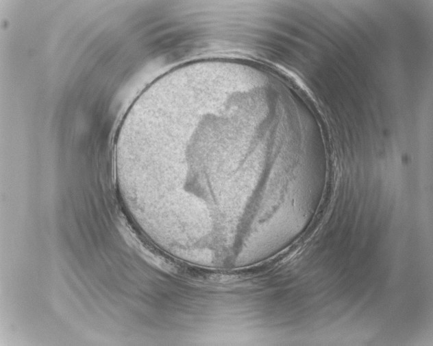 X0000054401371200508262220