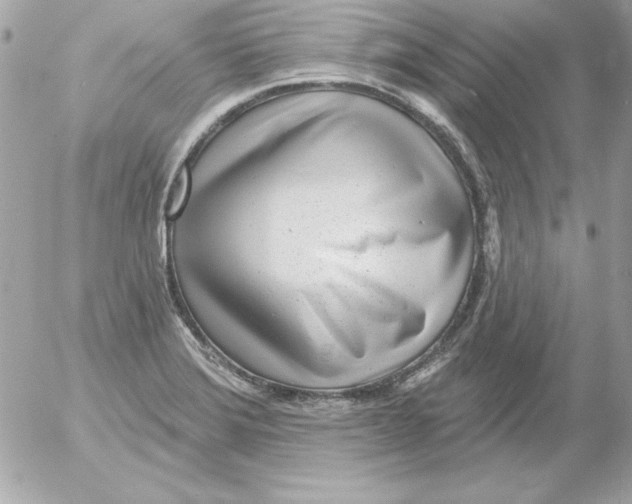 X0000054401372200508262220