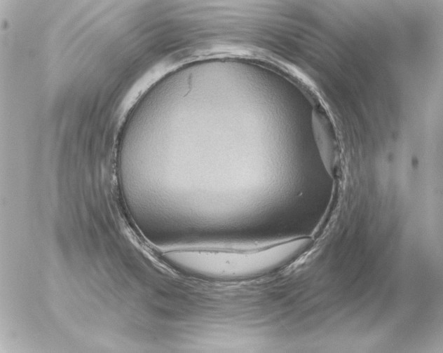 X0000054401373200508262220