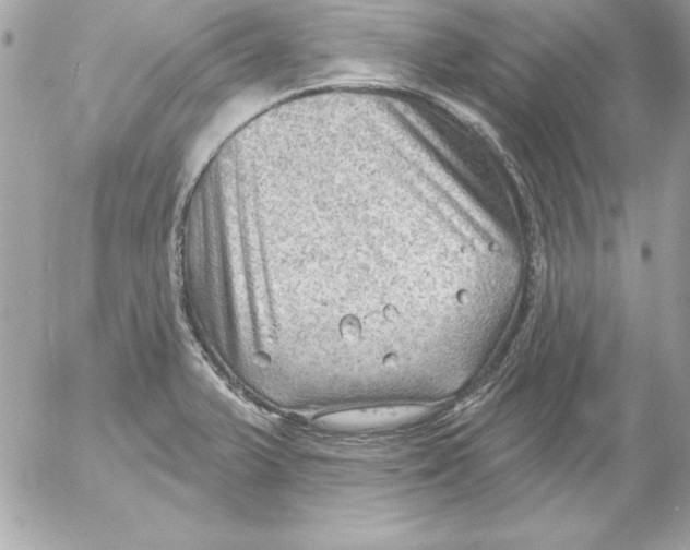 X0000054401375200508262220