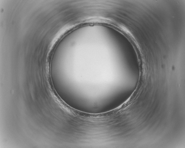 X0000054401376200508262220