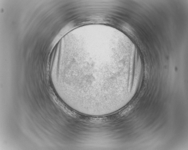 X0000054401378200508262220