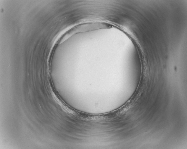 X0000054401380200508262220