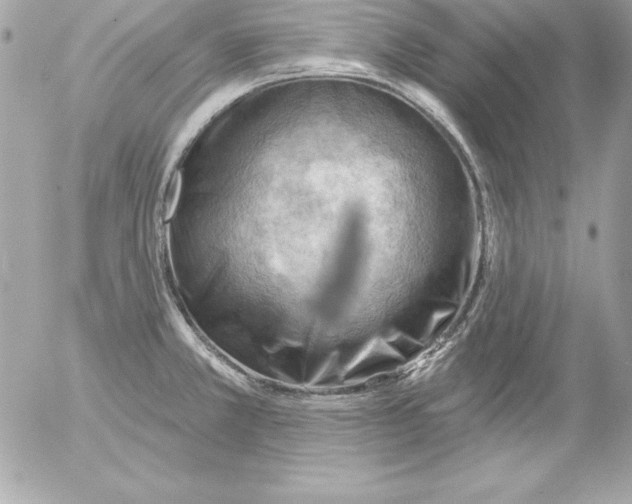 X0000054401381200508262220