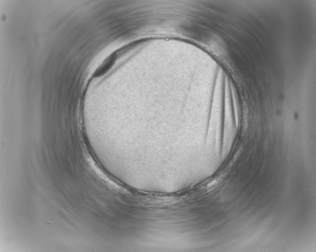 X0000054401382200508262220