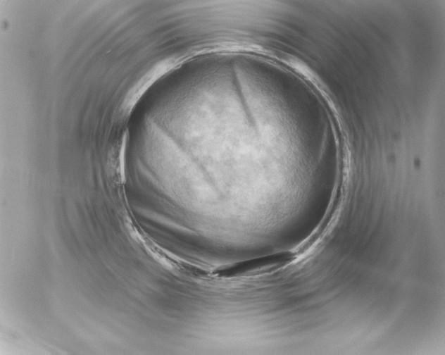 X0000054401385200508262220