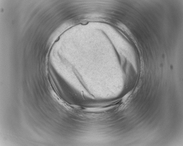 X0000054401386200508262220