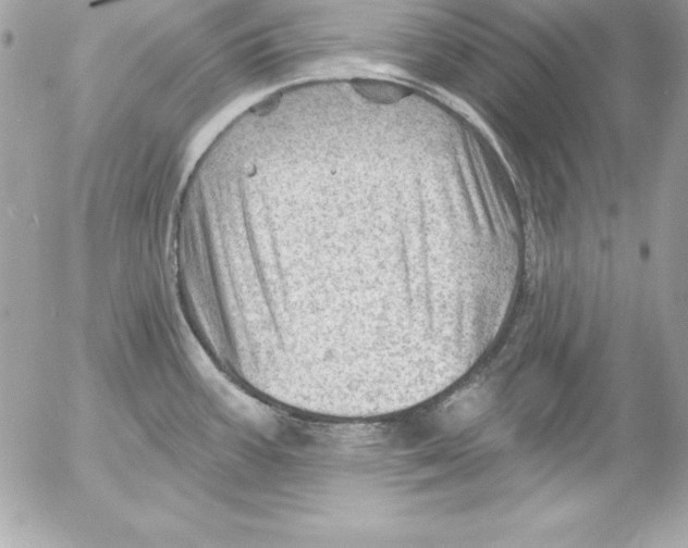 X0000054401387200508262220