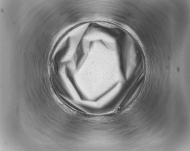 X0000054401388200508262220