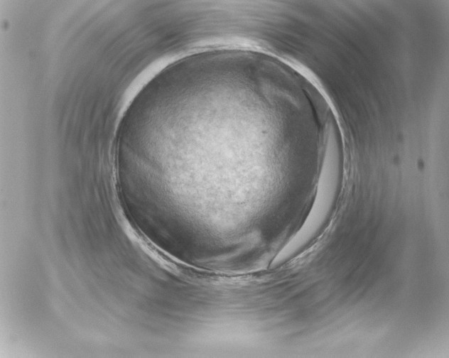 X0000054401389200508262220