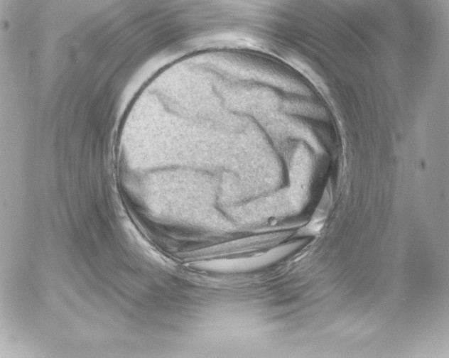 X0000054401392200508262220