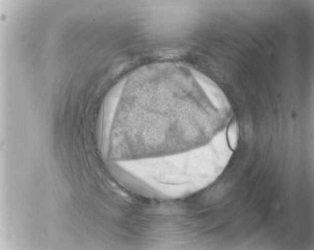 X0000054401393200508262219