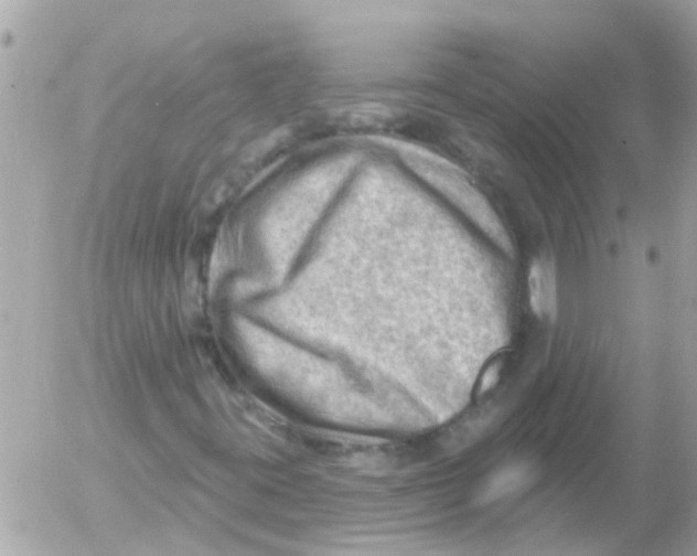 X0000054401395200508262219