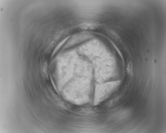 X0000054401396200508262219