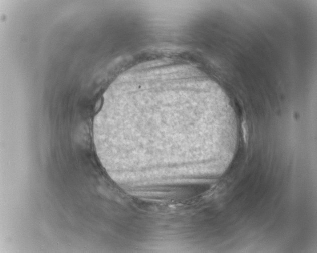 X0000054401397200508262219