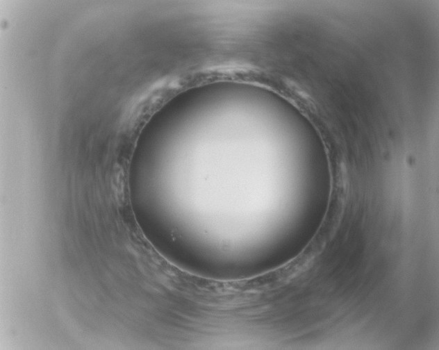 X0000054401398200508262219