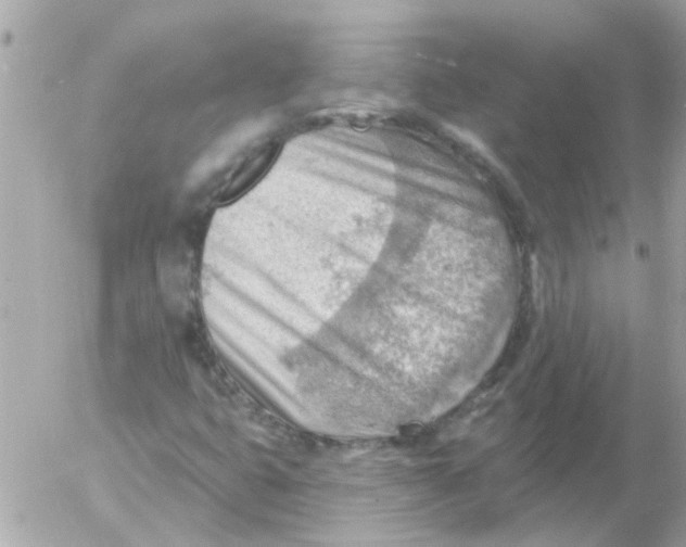 X0000054401399200508262219