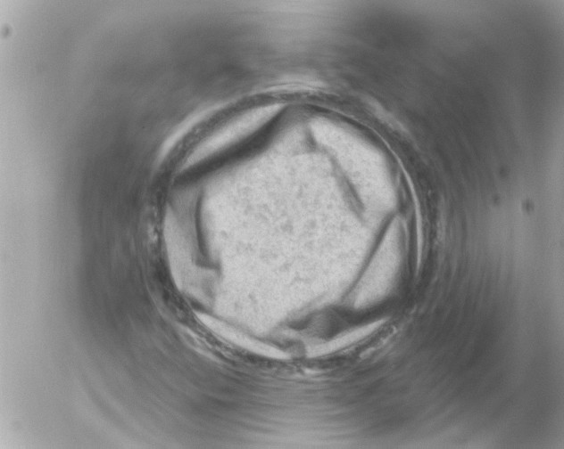 X0000054401400200508262219