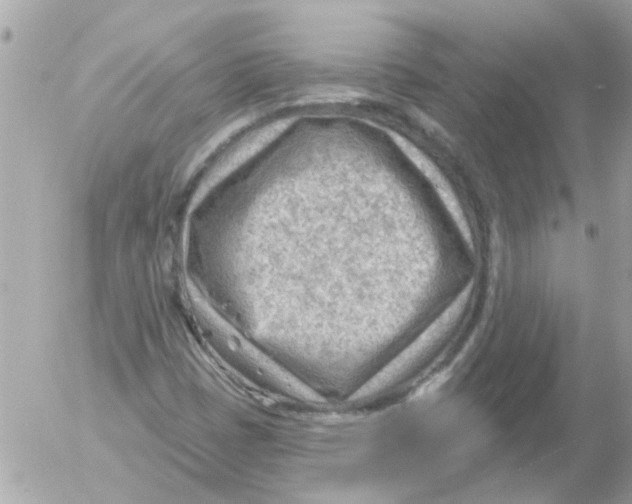 X0000054401401200508262219