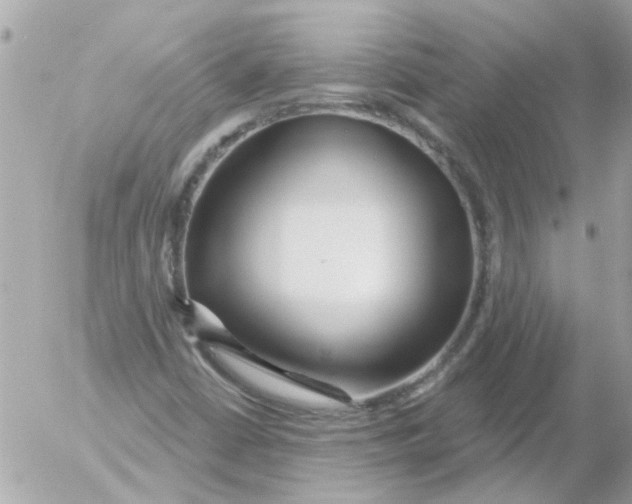 X0000054401402200508262219