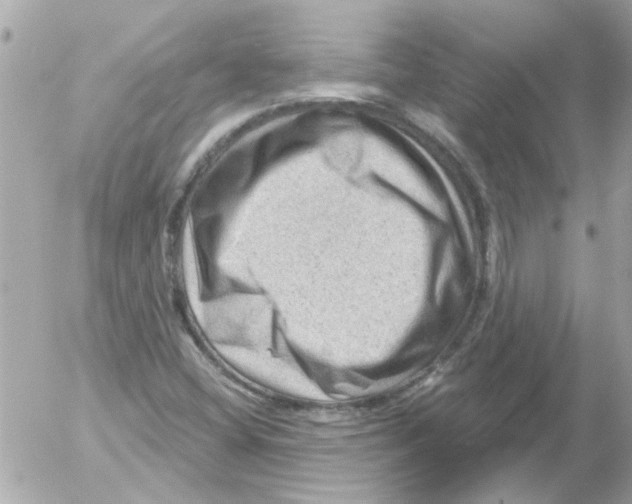 X0000054401404200508262219