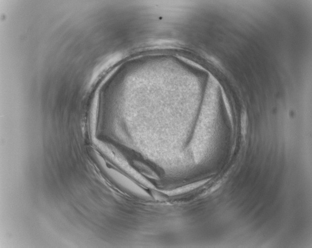 X0000054401405200508262219