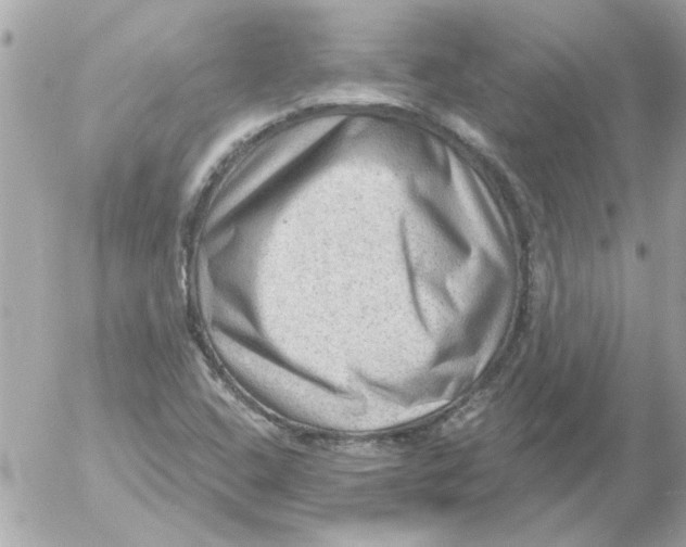 X0000054401408200508262219