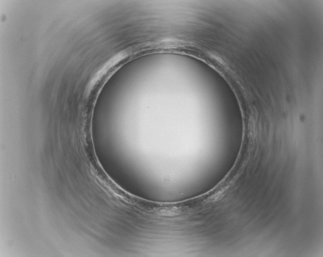 X0000054401410200508262219