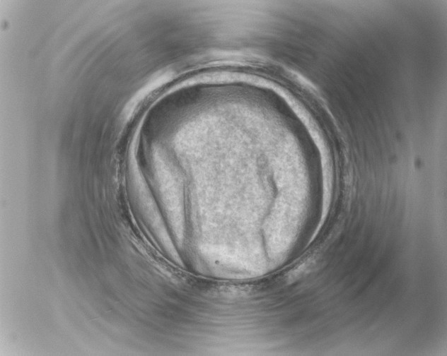 X0000054401411200508262219